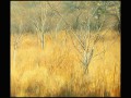 s_golden_evening